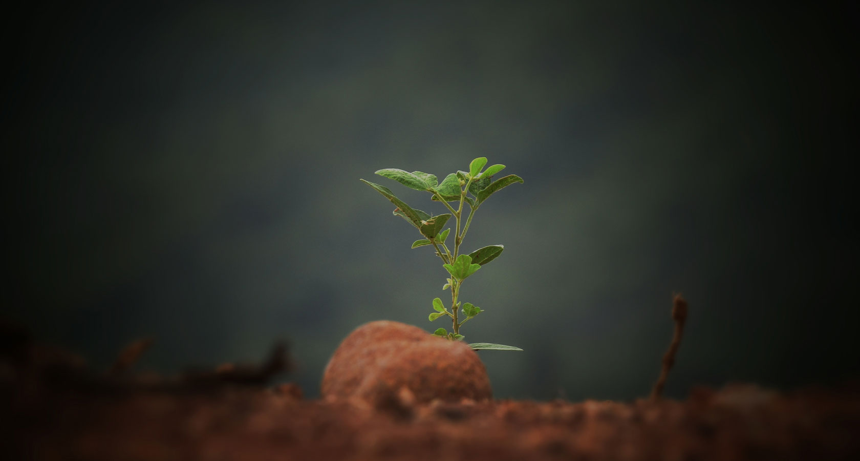 太阳集团2007网站(中国)有限公司官网